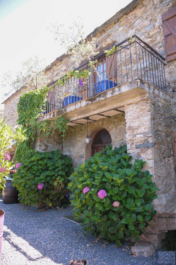 A Casa Di Paulina Acomodação com café da manhã Casta Exterior foto